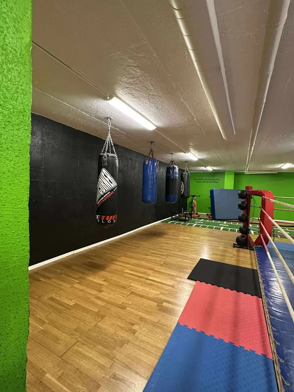 Boksesekker og treningsutstyr