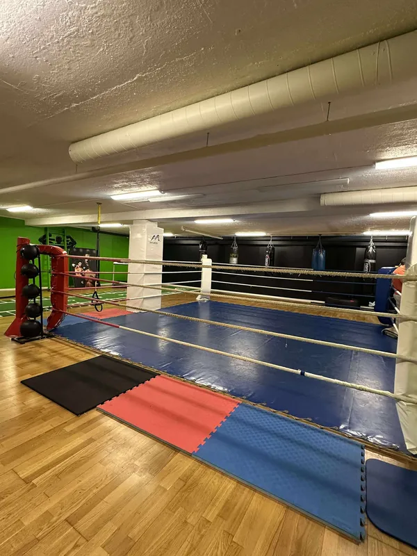 Bokseringen med fargerike matter